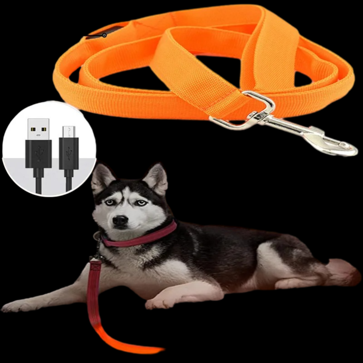 NightSnout™ LED Leash