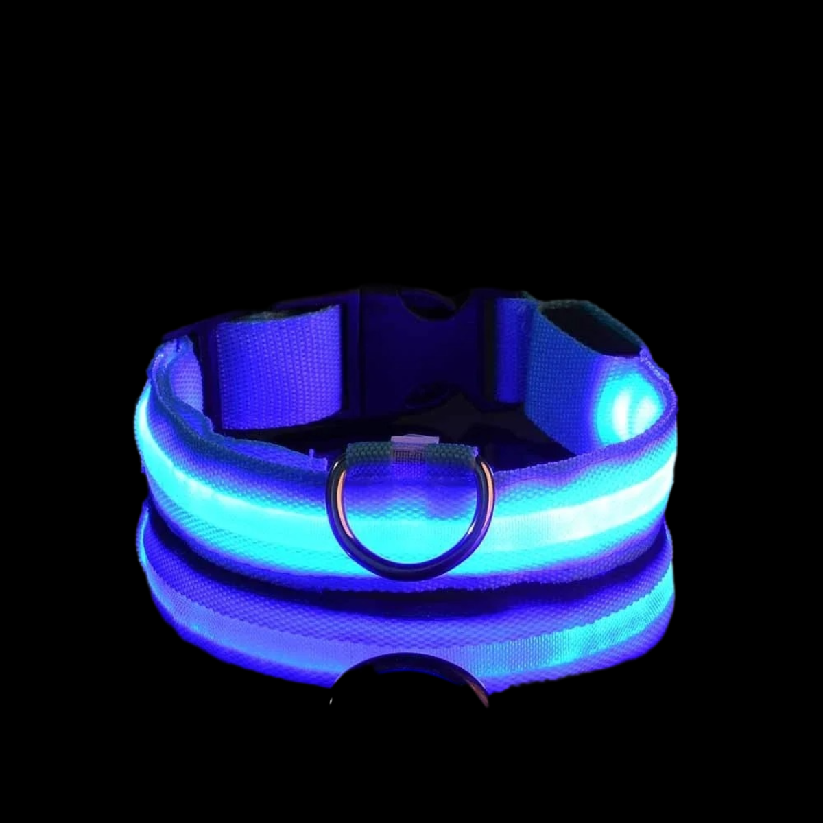 NightSnout™ LED Safety Collar
