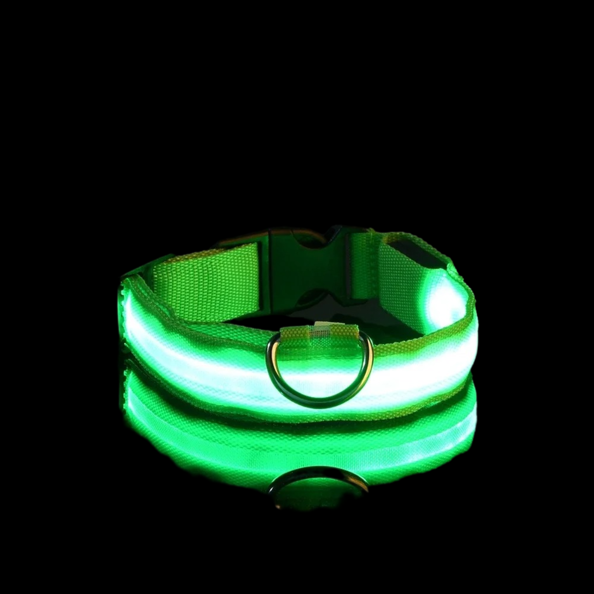 NightSnout™ LED Safety Collar