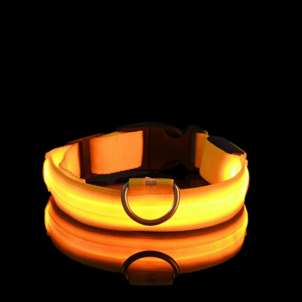 NightSnout™ LED Safety Collar