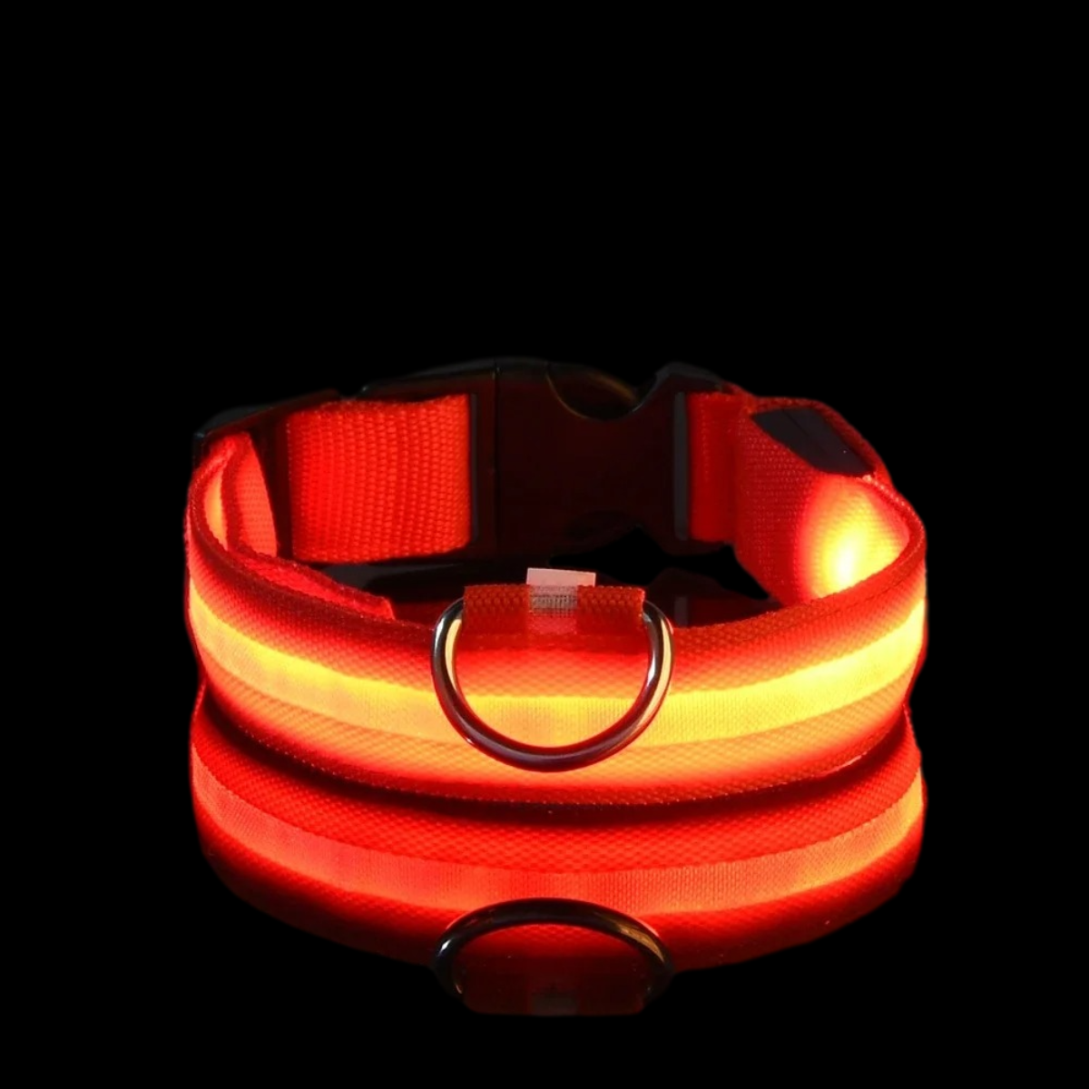 NightSnout™ LED Safety Collar