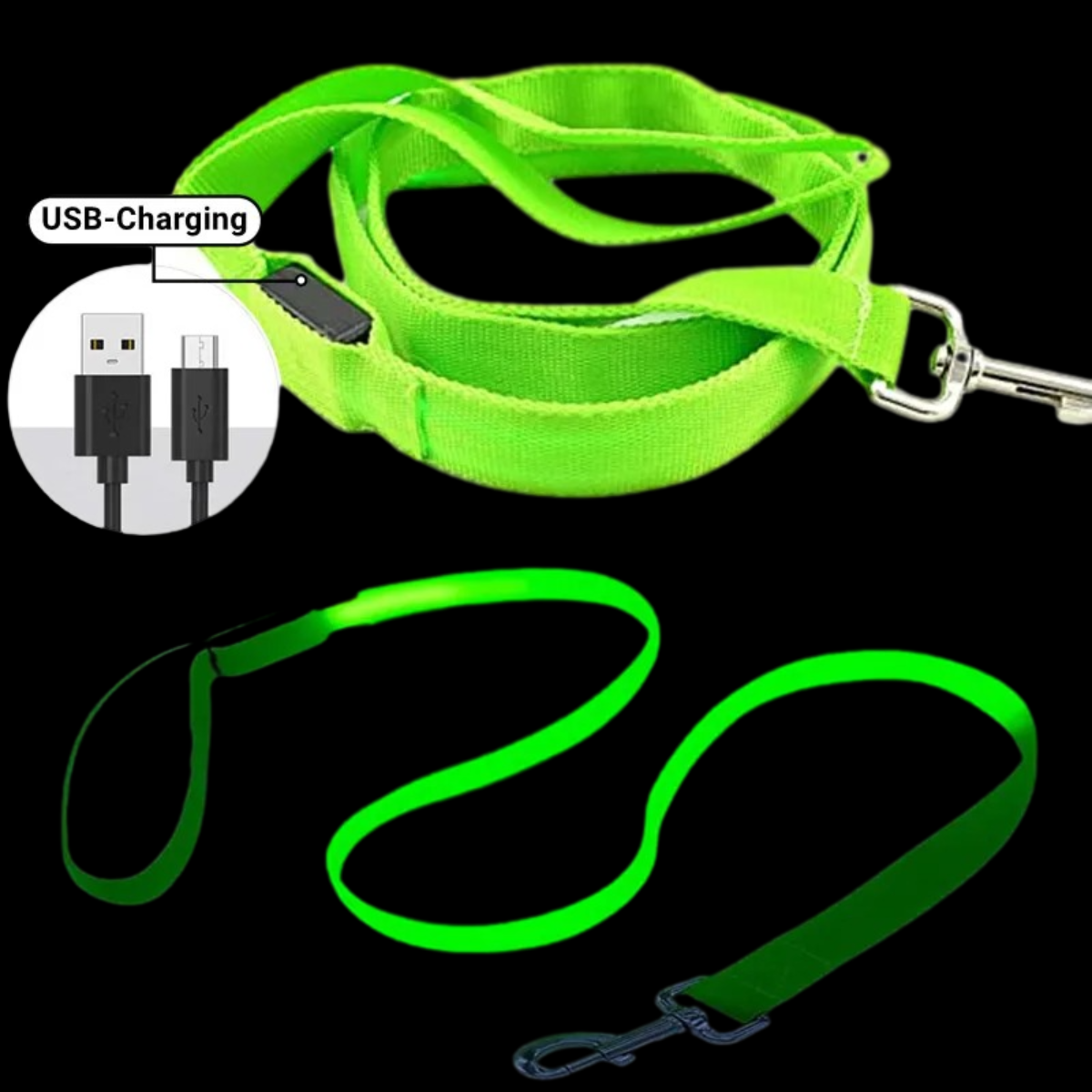 NightSnout™ LED Leash