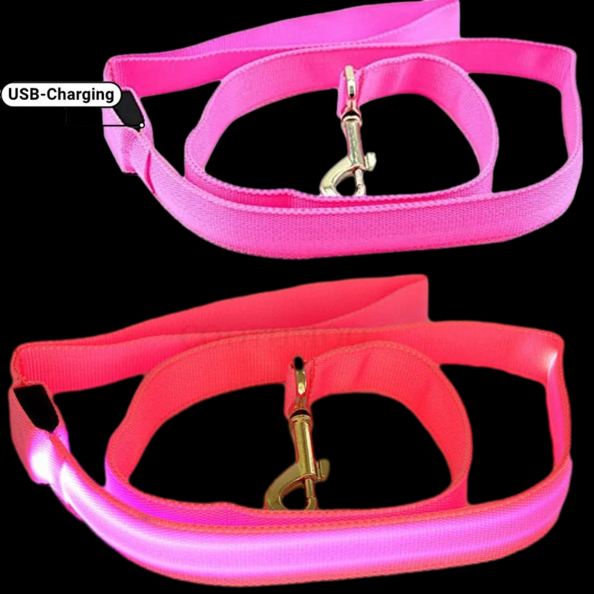 NightSnout™ LED Leash