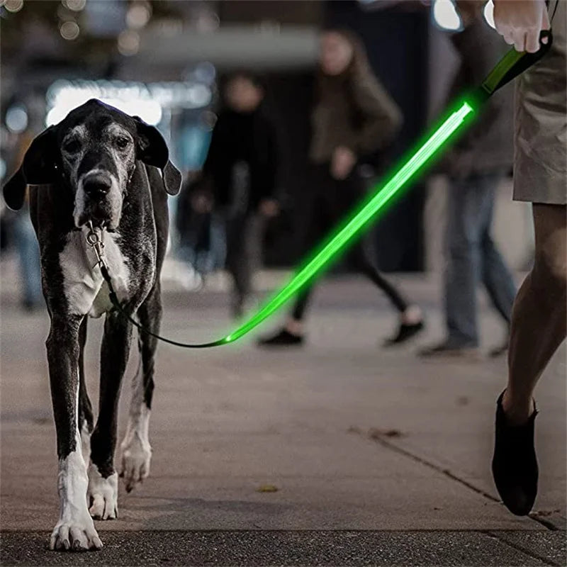 NightSnout™ LED Leash